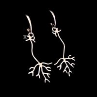 Neurony - chemole AGAM